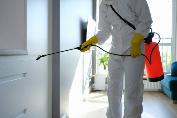 Best Commercial Mold Remediation in Ettrick, VA