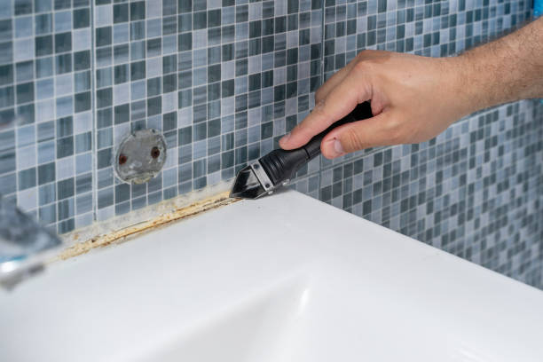 Best Post-Remediation Services in Ettrick, VA