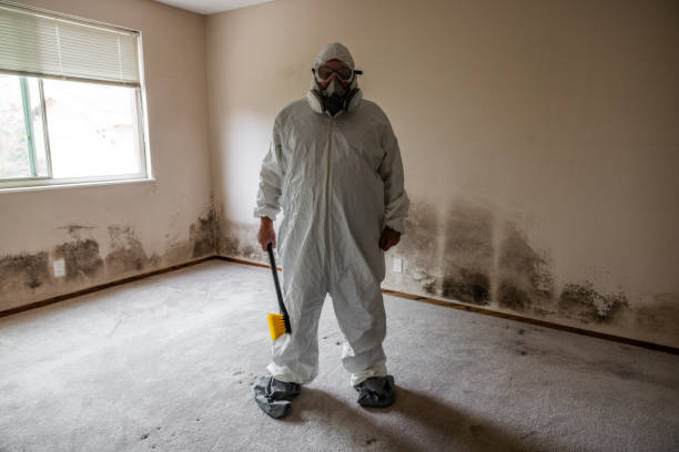Best Health and Safety Mold Remediation in Ettrick, VA